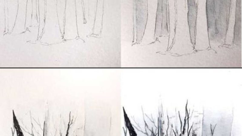 全口种植牙：国产与进口价格的幕后考量
